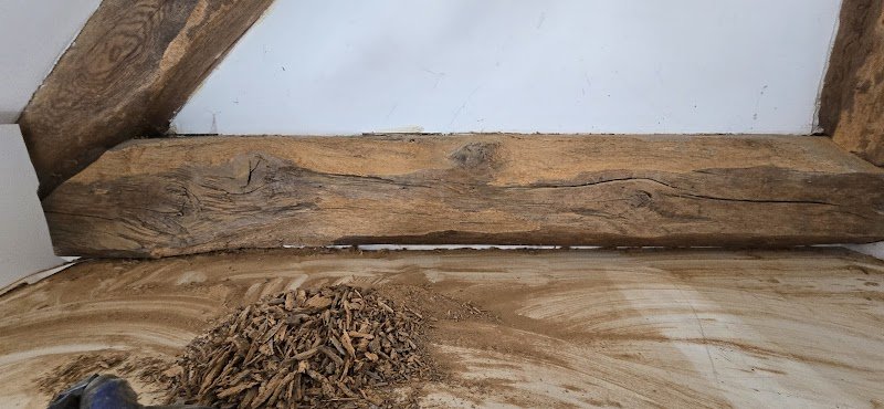 NGAN VAL D'OISE - Entreprise Anti-Nuisibles - photo 2