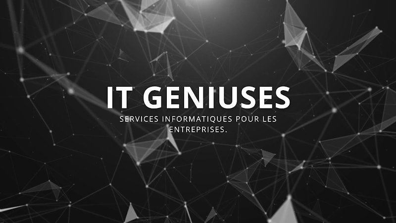 Services informatiques pour les entreprises - IT GENIUSES