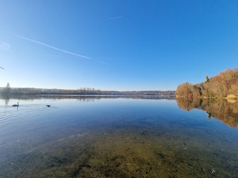 Club Aviron ESSEC - photo 3