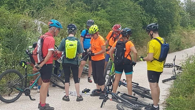 Les Renards de Cergy