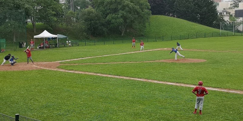 Teddy-Bears Baseball Softball Club